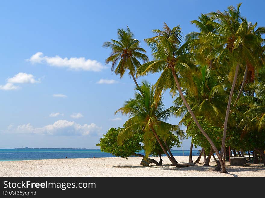 Landscape photo of tranquil island beach. Landscape photo of tranquil island beach