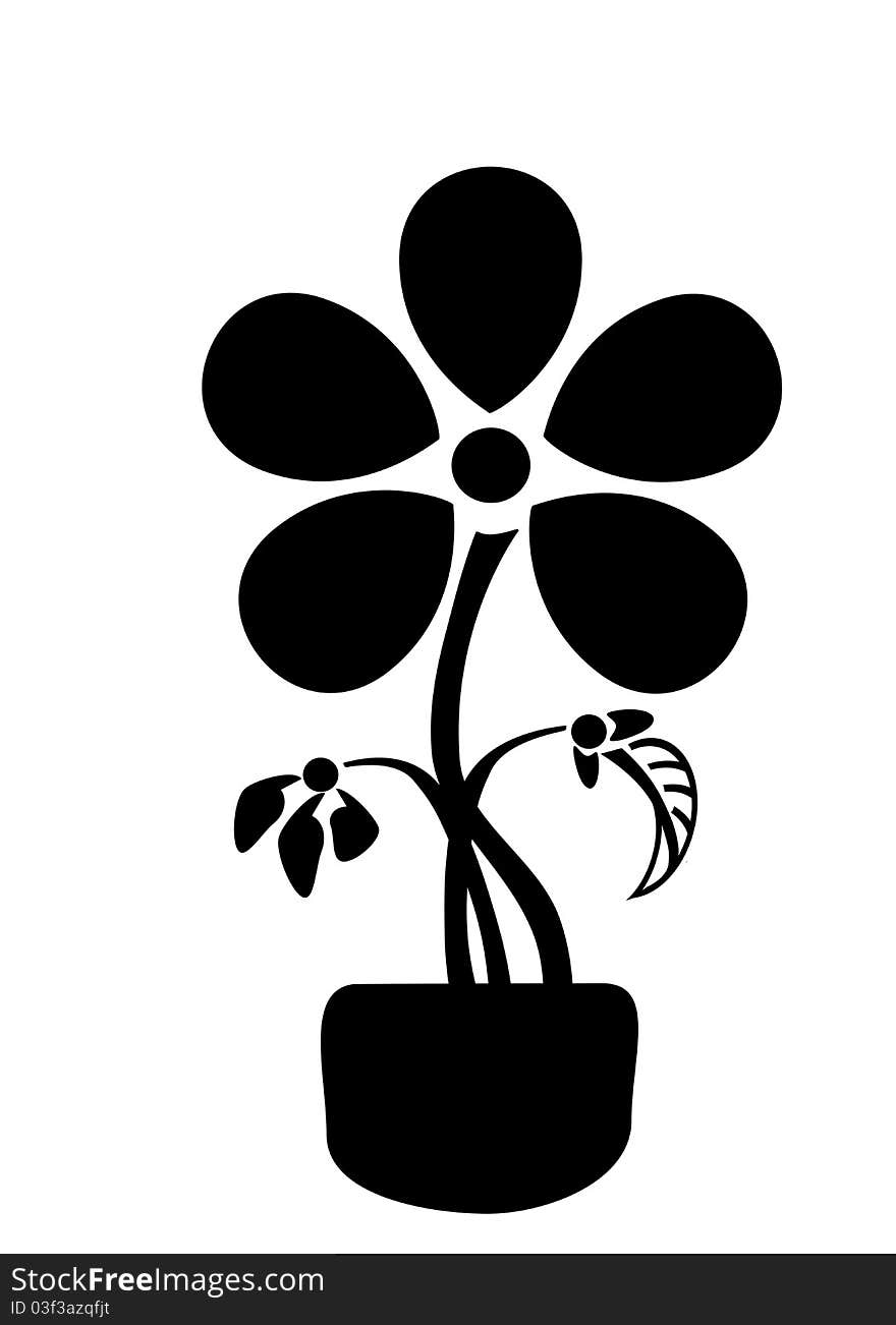 The black flower in a vase. The black flower in a vase.