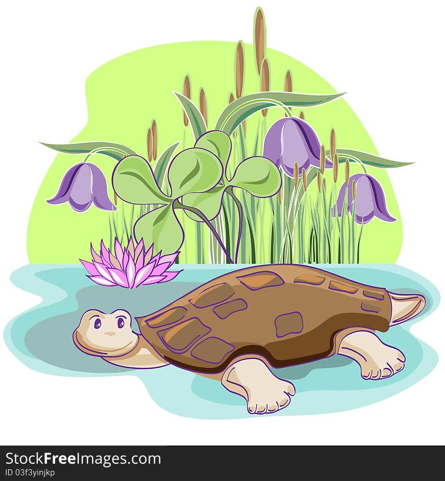 Cheerful Tortoise.