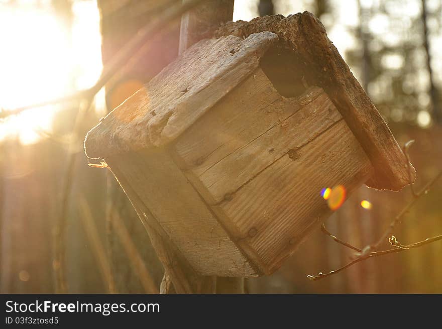 Nesting box in the spring forest