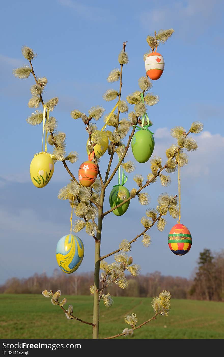 Easter eggs on spring willow tree