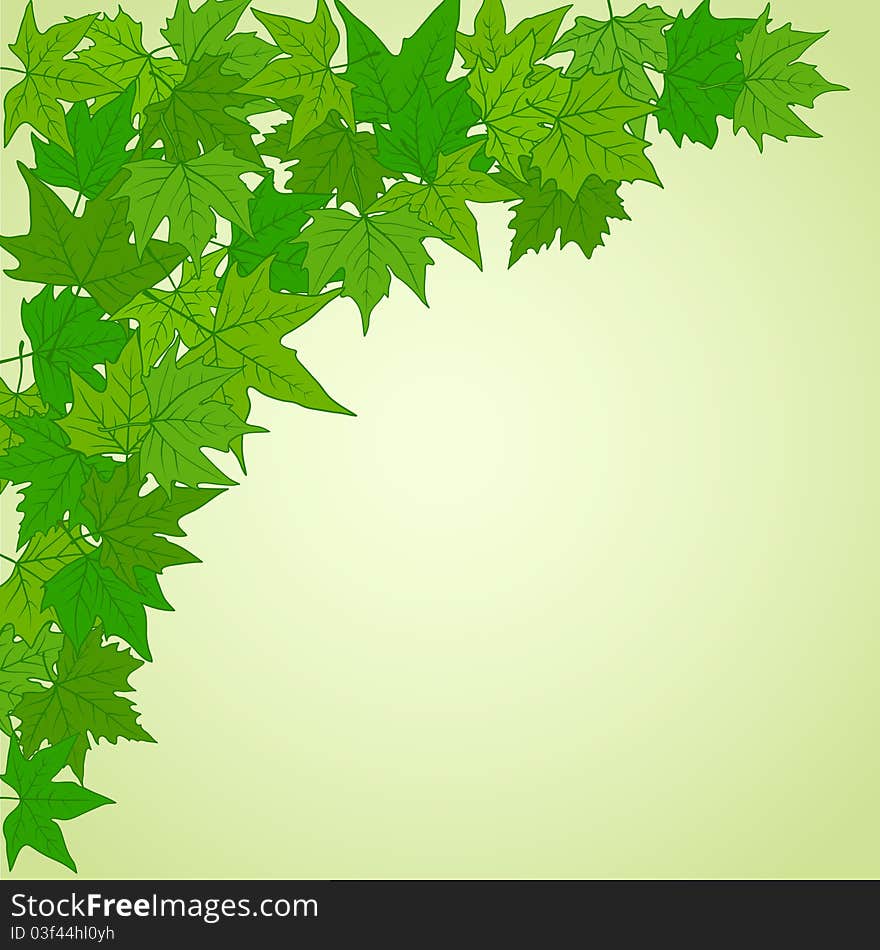 Natural background with green leaves