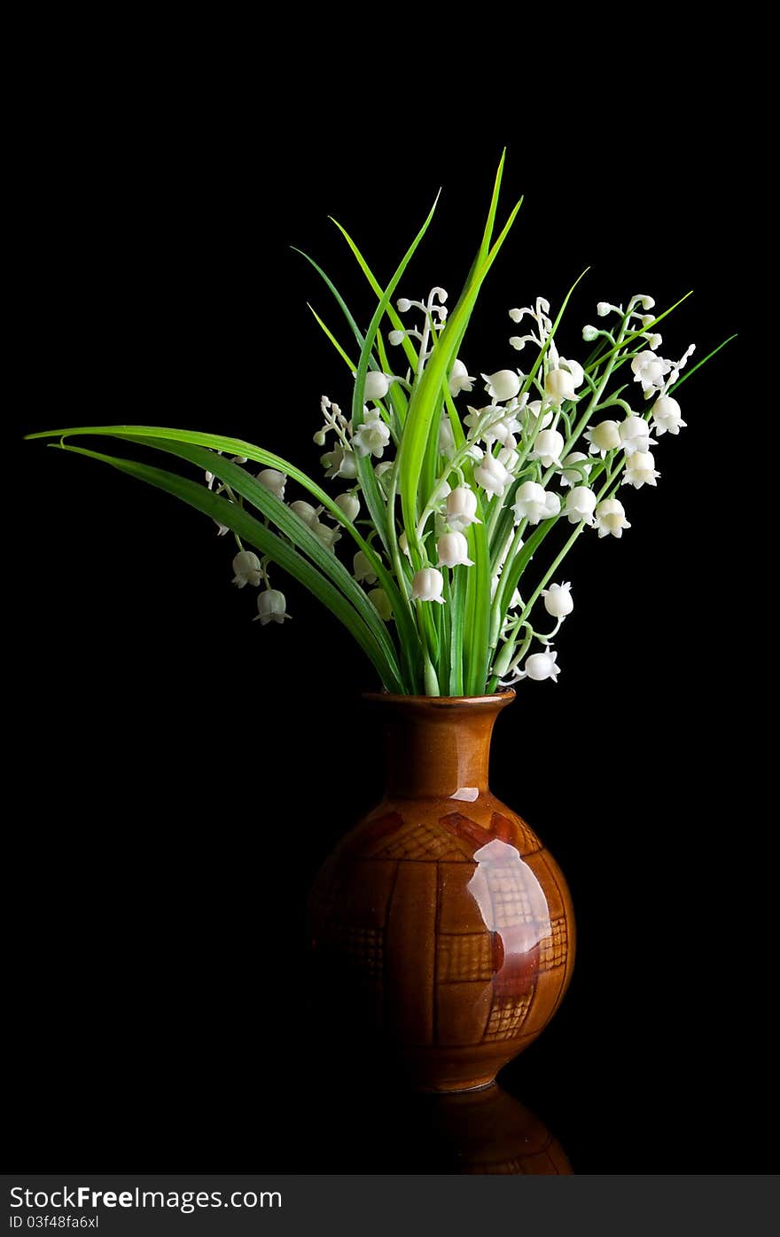 Snowdrops in a vase isolated on a black background