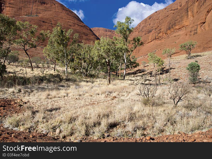 Colors Of Australian Outback During Winter Season