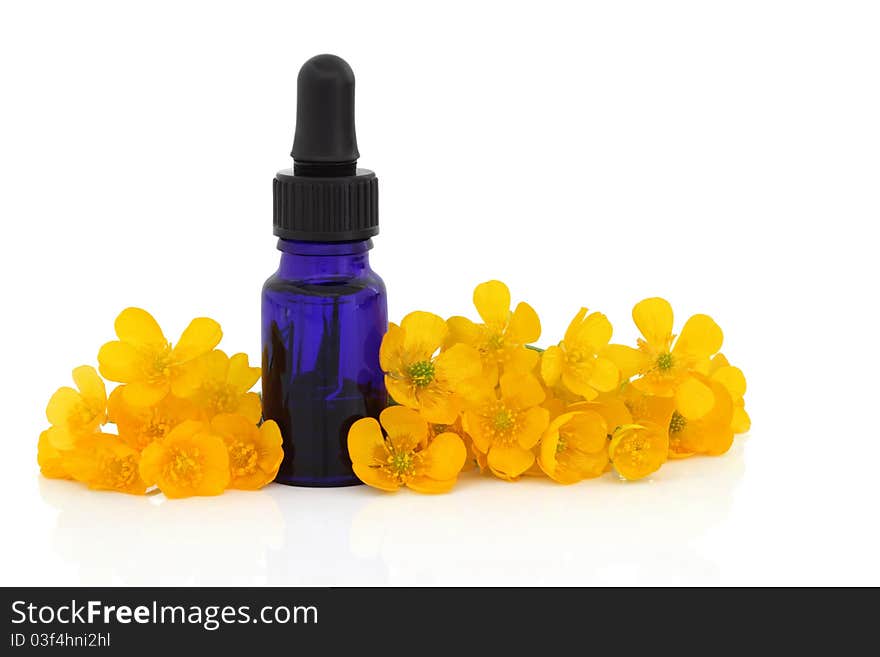 Buttercup flowers with essential oil blue glass dropper bottle isolated over white background. Used in homeopathic medicine for healing blisters. Ranuculus bulbosus. Buttercup flowers with essential oil blue glass dropper bottle isolated over white background. Used in homeopathic medicine for healing blisters. Ranuculus bulbosus.