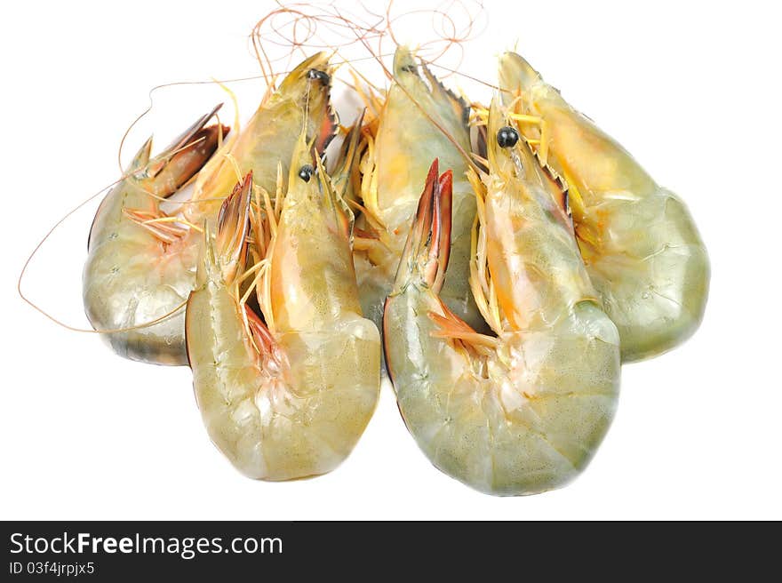 Close-up of White Shrimp isolated on white.