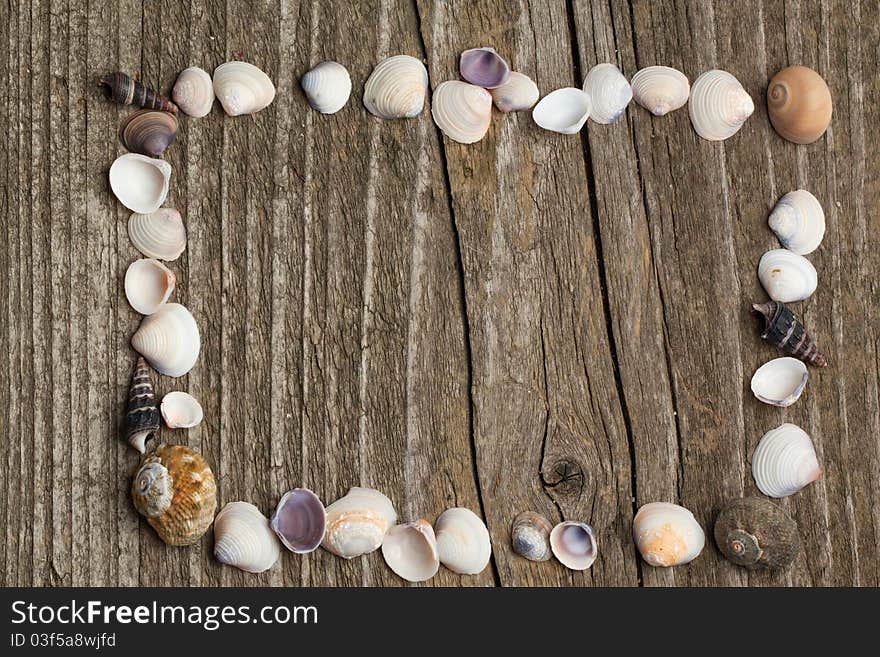 Wooden background with sea shells