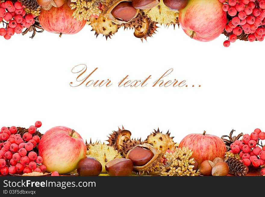 Autumn Leaves And Fruits Isolated