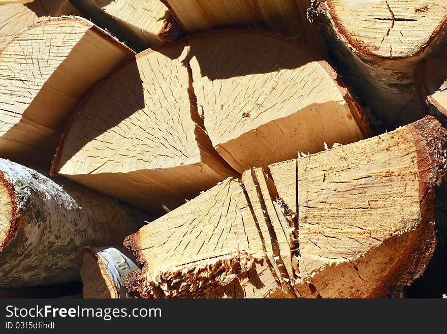 Dry birch wood nicely placed in the pile