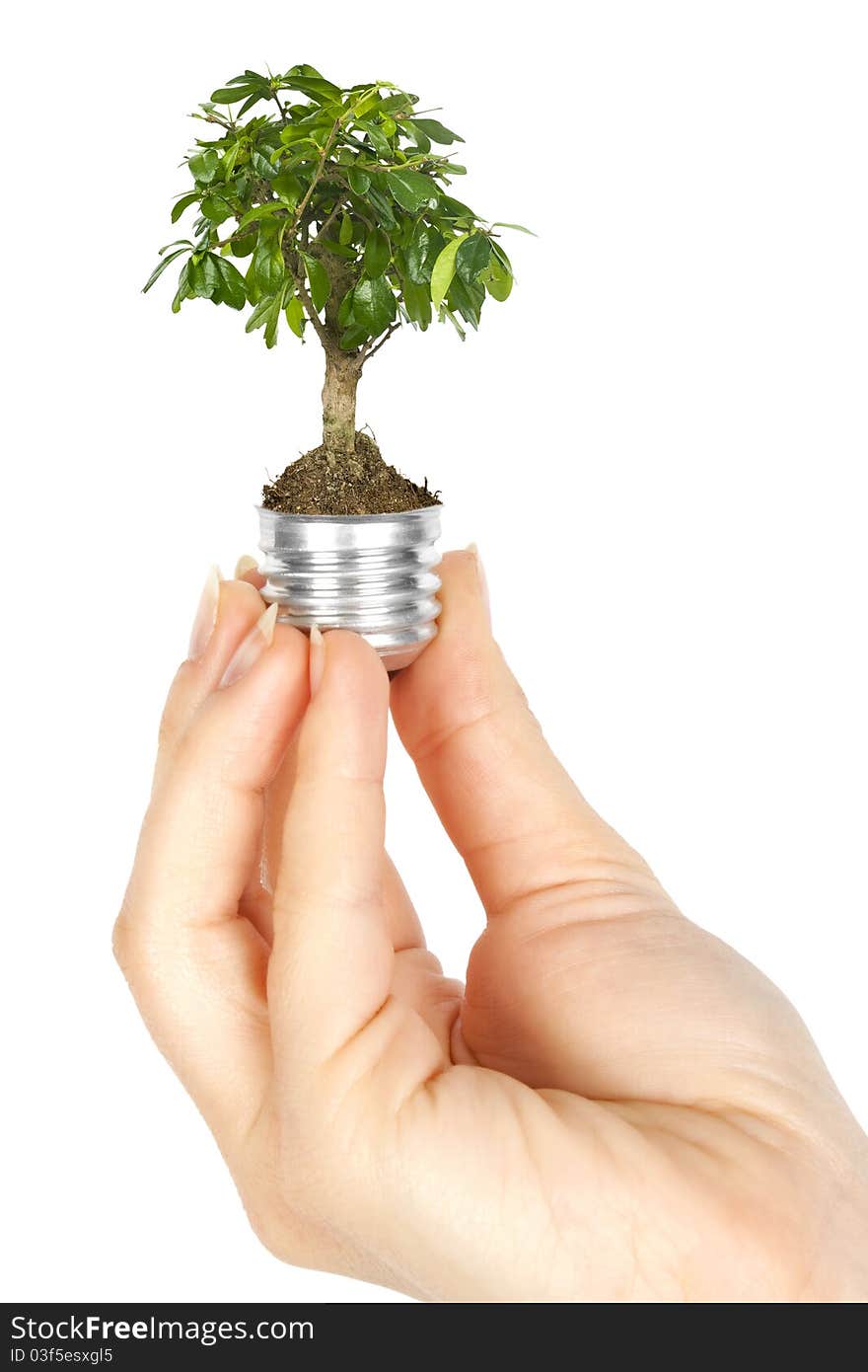 One lamp with plant inside in human hand on white background. Green energy concept