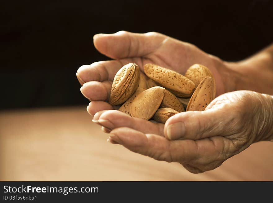 Food of the earth - veteran's hands holding raw almonds in palm. Food of the earth - veteran's hands holding raw almonds in palm.