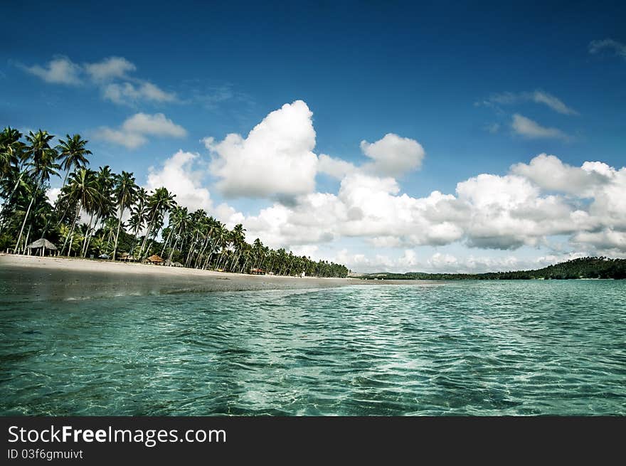 A beautiful Sea Color in a Tropical Beach