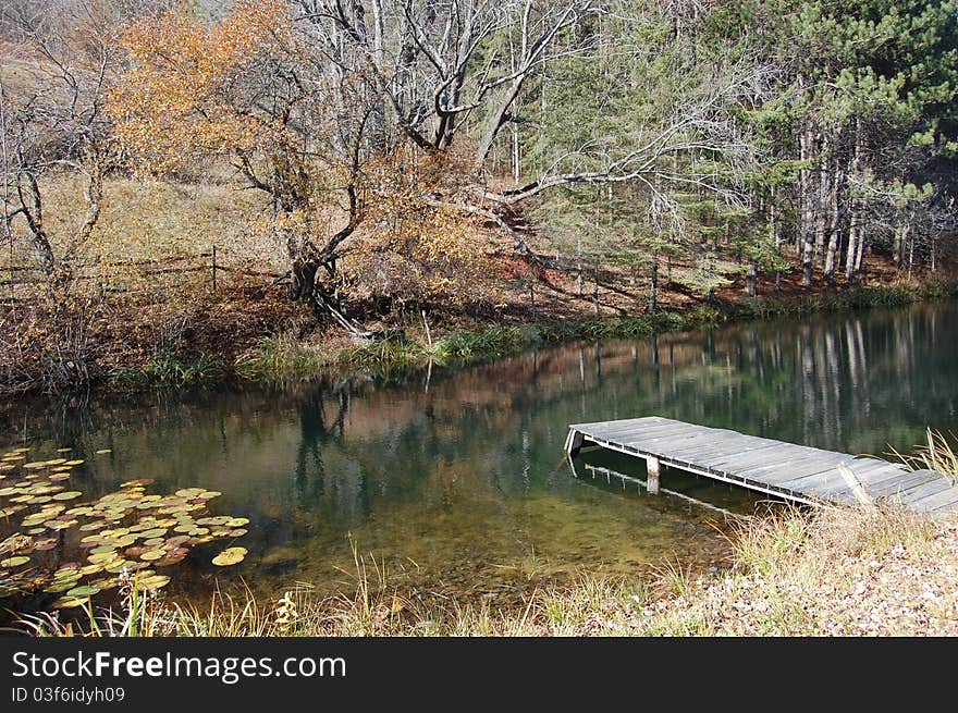 The Pond