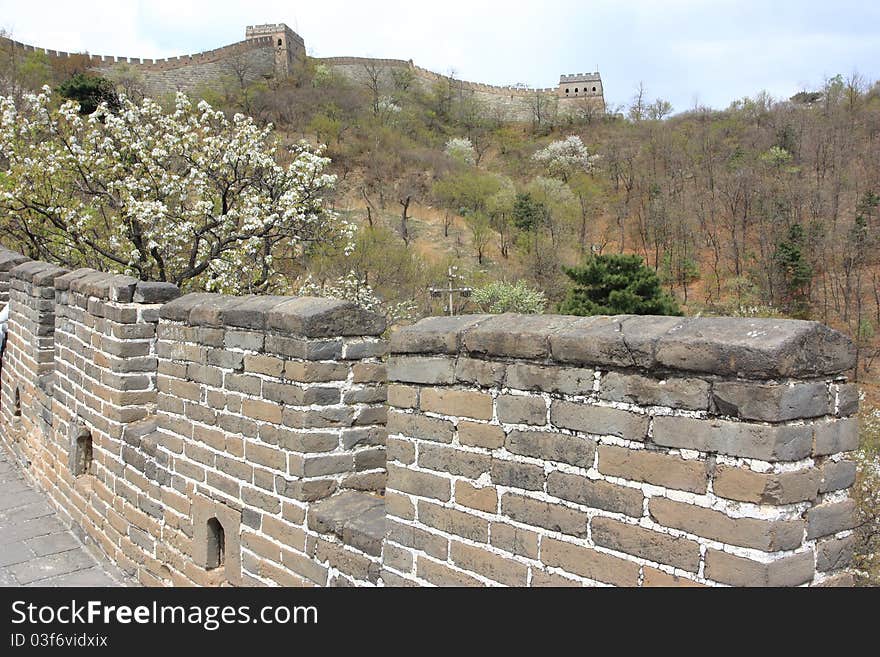 The great wall of China, with a beautiful mountain in spring .