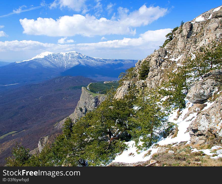 Rocky mountains covered with forest and snow