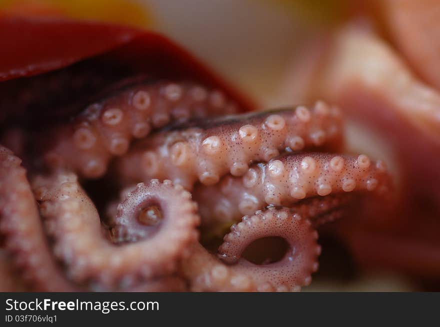 A dish with octopus