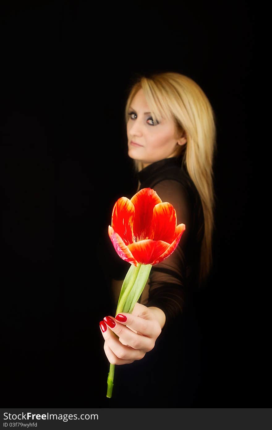 Stylish Woman with red tulip on white background