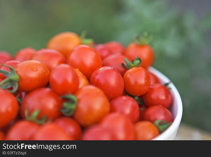 A bowl of fresh cherry tomatoes. A bowl of fresh cherry tomatoes