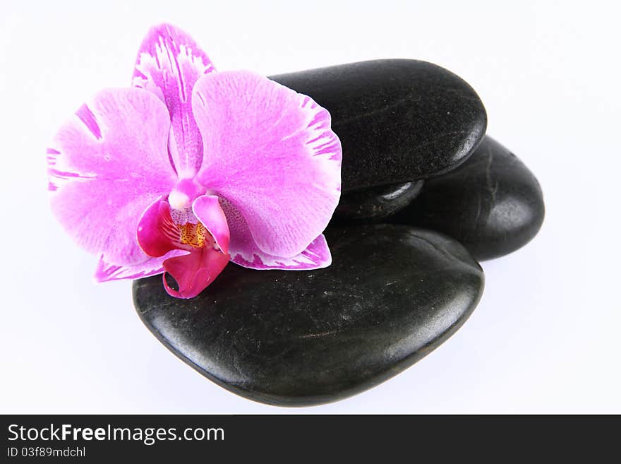 Spa stones and an orchid flower on a white background. Spa stones and an orchid flower on a white background