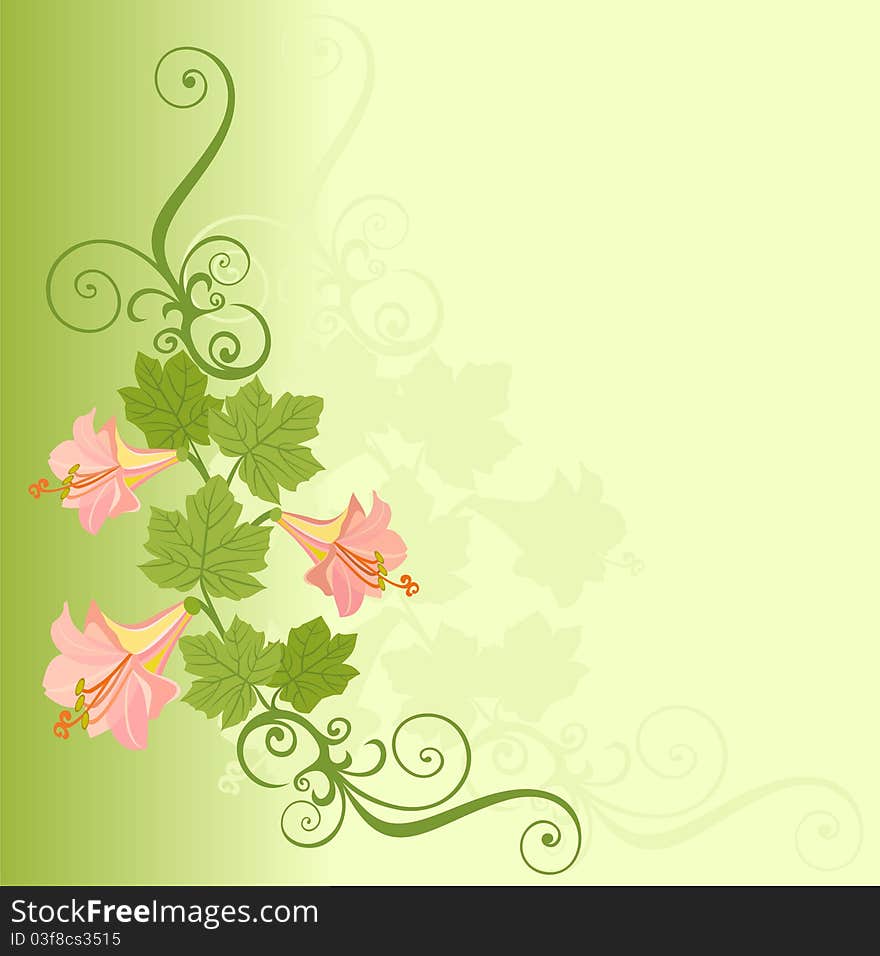 Set of pink flowers with leaf