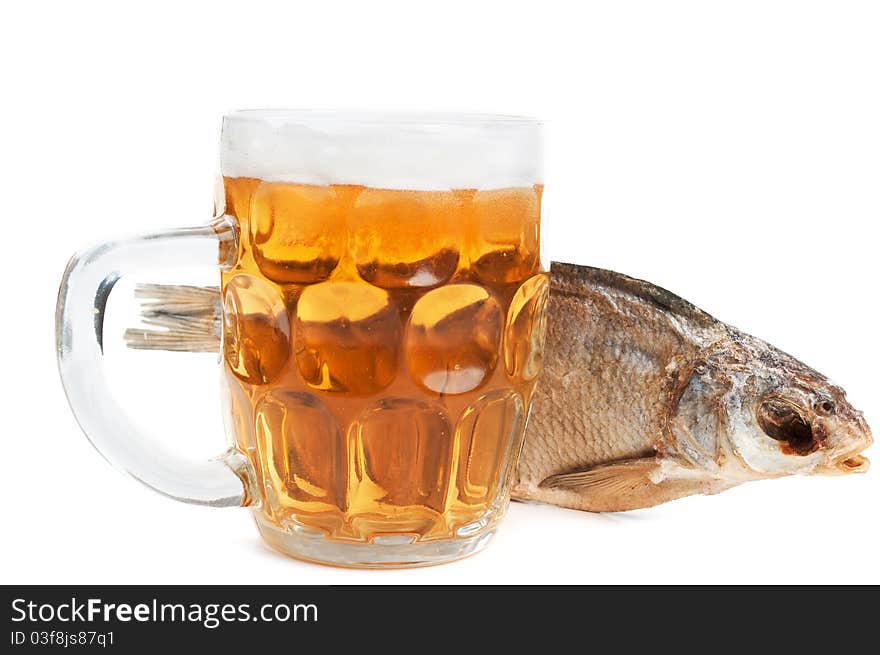 Sea Roach And Beer