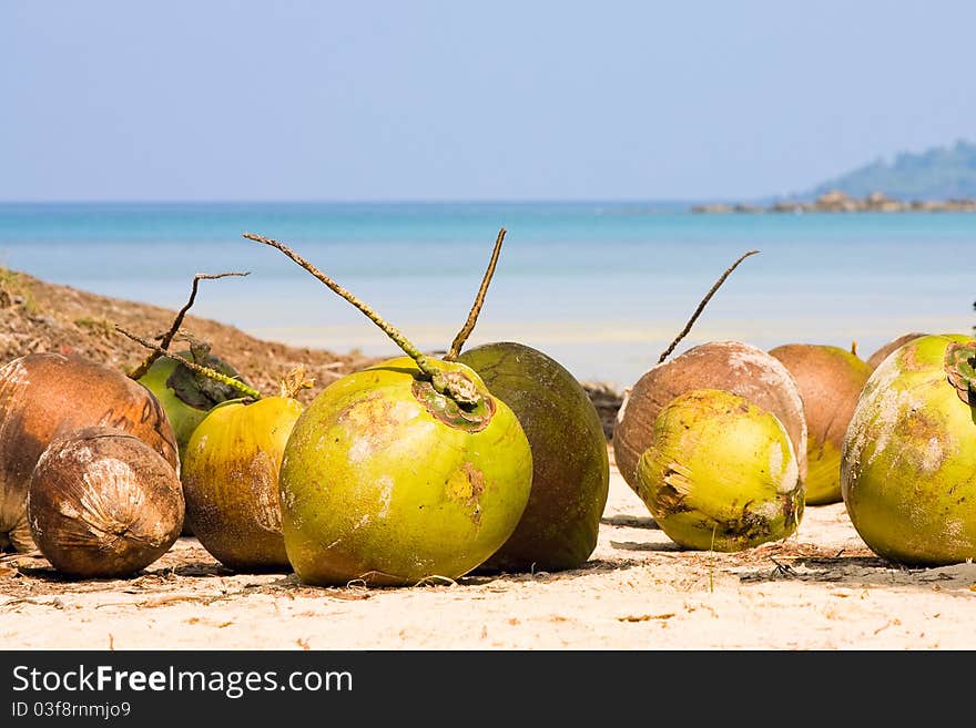 Coconuts on the beach