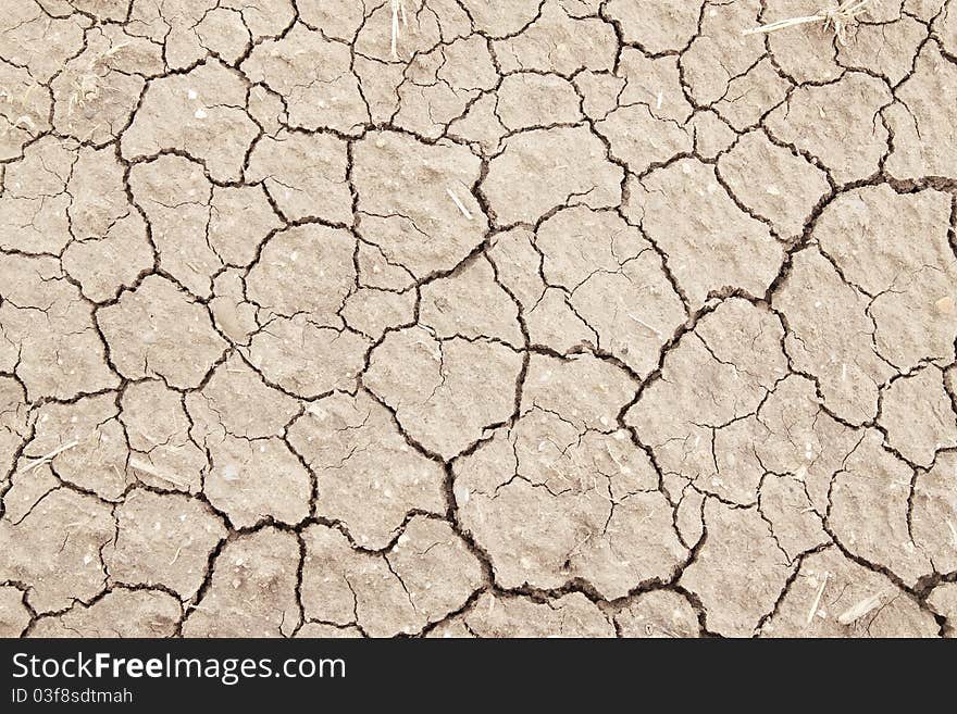 Cracked clay ground into the dry season. Cracked clay ground into the dry season