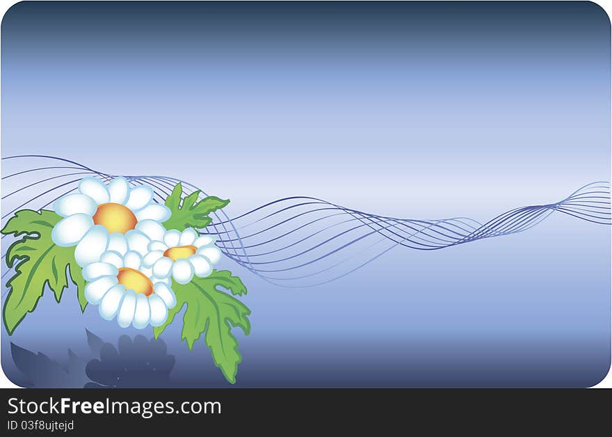 Card with chamomile background and abstract lines. Card with chamomile background and abstract lines