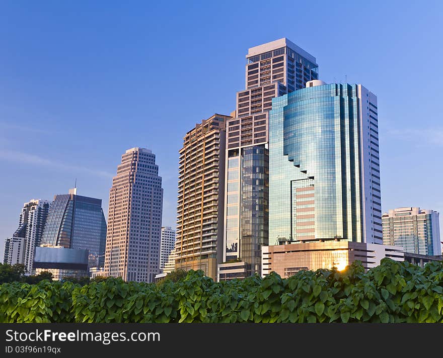 Building in Bangkok with a foreground leaves in a park in Bangkok, Thailand(building location building in Thailand , can take photographs do ? all right , do not be copyright disobedience anything ). Building in Bangkok with a foreground leaves in a park in Bangkok, Thailand(building location building in Thailand , can take photographs do ? all right , do not be copyright disobedience anything )