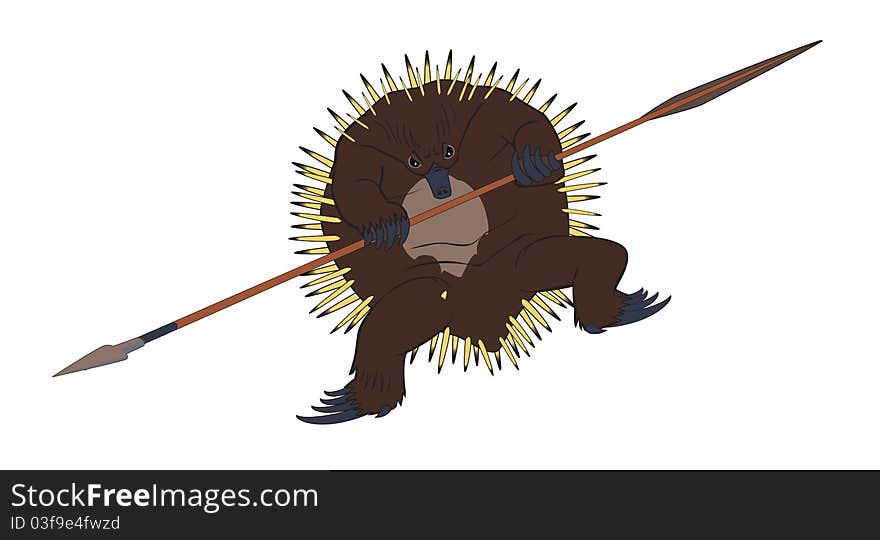 Spear-wielding short-beaked echidna. Spear-wielding short-beaked echidna