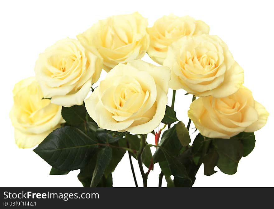 Beautiful bouquet of white and yellow roses. Beautiful bouquet of white and yellow roses.