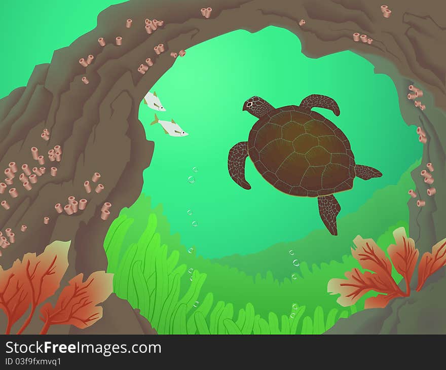 Underwater scene with turtle, kelp, fish and coral. Underwater scene with turtle, kelp, fish and coral.