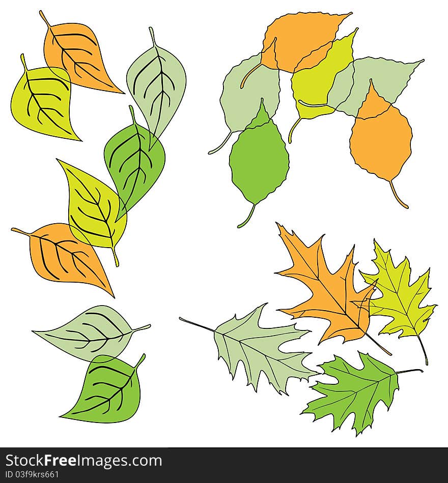 Leaf, collection for designers