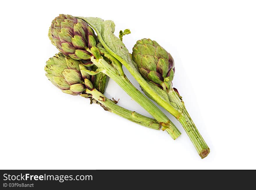 Artichoke isolated on white background