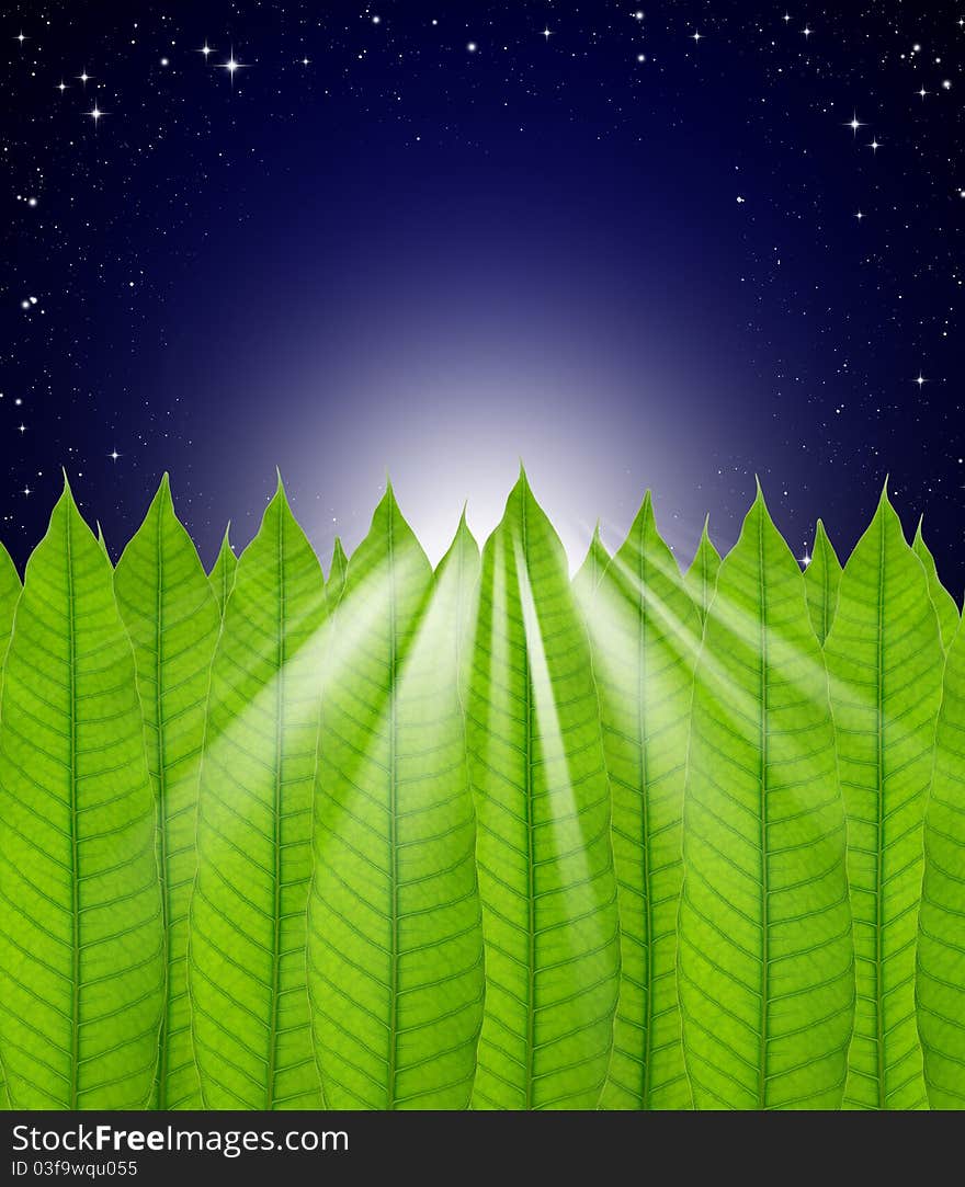 Leaves frame on Stars in the night sky background. Leaves frame on Stars in the night sky background