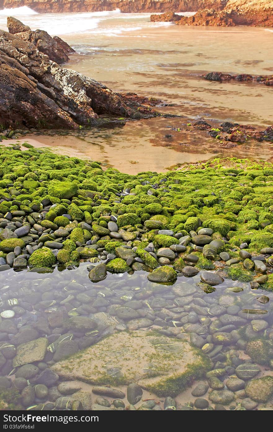 Beach of green stones