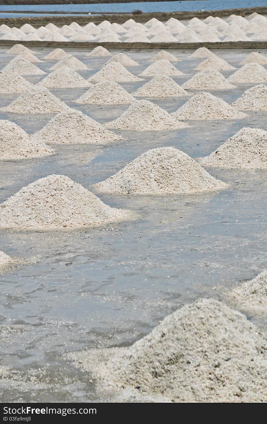 Salt farm