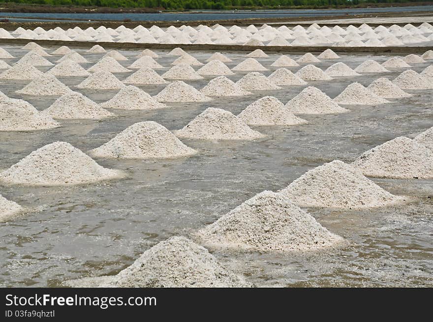 Salt farm