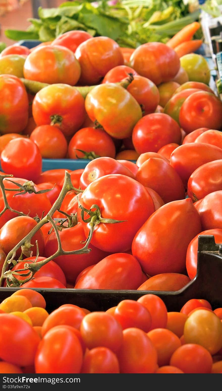 Red fresh tomatoes on the local market. Red fresh tomatoes on the local market