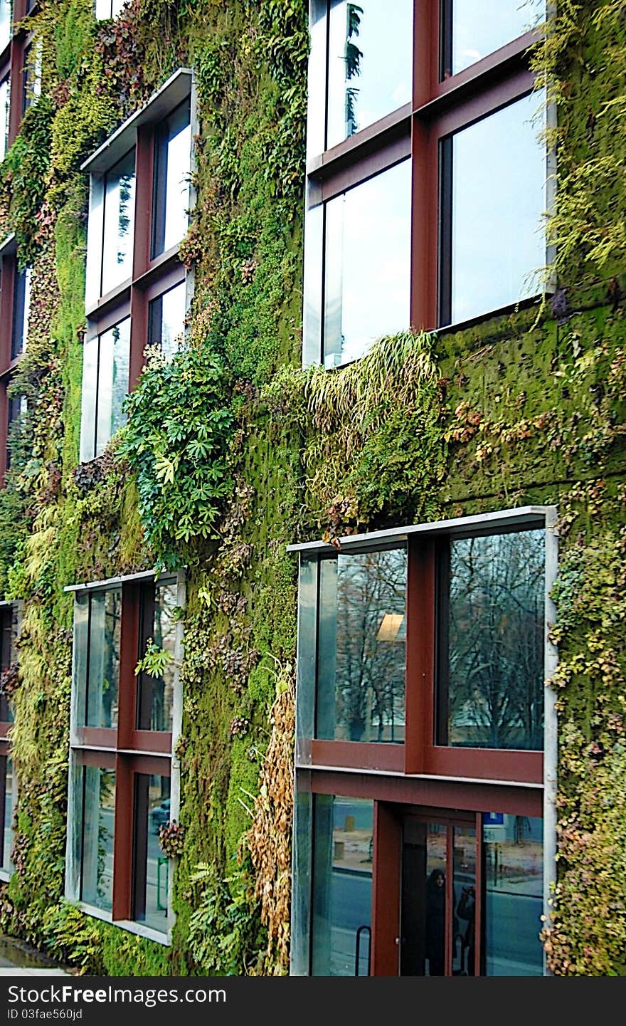 Building surrounded outside with plants. Building surrounded outside with plants