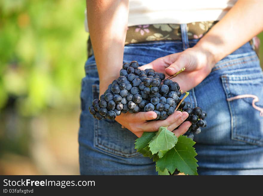 Woman with bunch of grapes in the hands. Woman with bunch of grapes in the hands