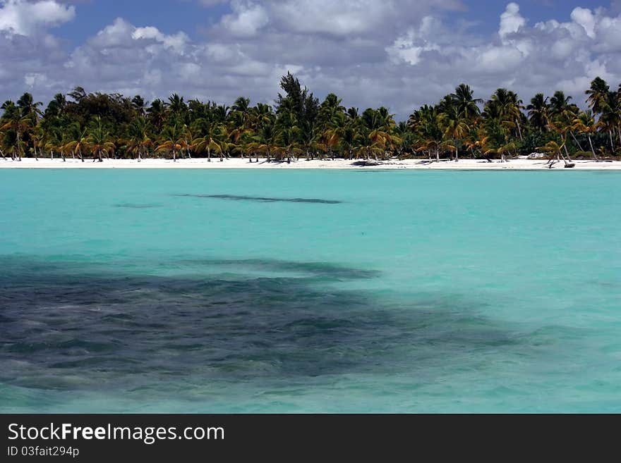 Turquoise ocean, white sand beach and palm trees. Turquoise ocean, white sand beach and palm trees