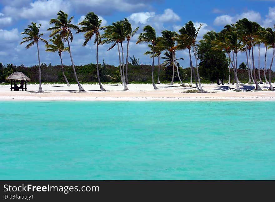 Turquoise ocean, white sand beach and palm trees. Turquoise ocean, white sand beach and palm trees