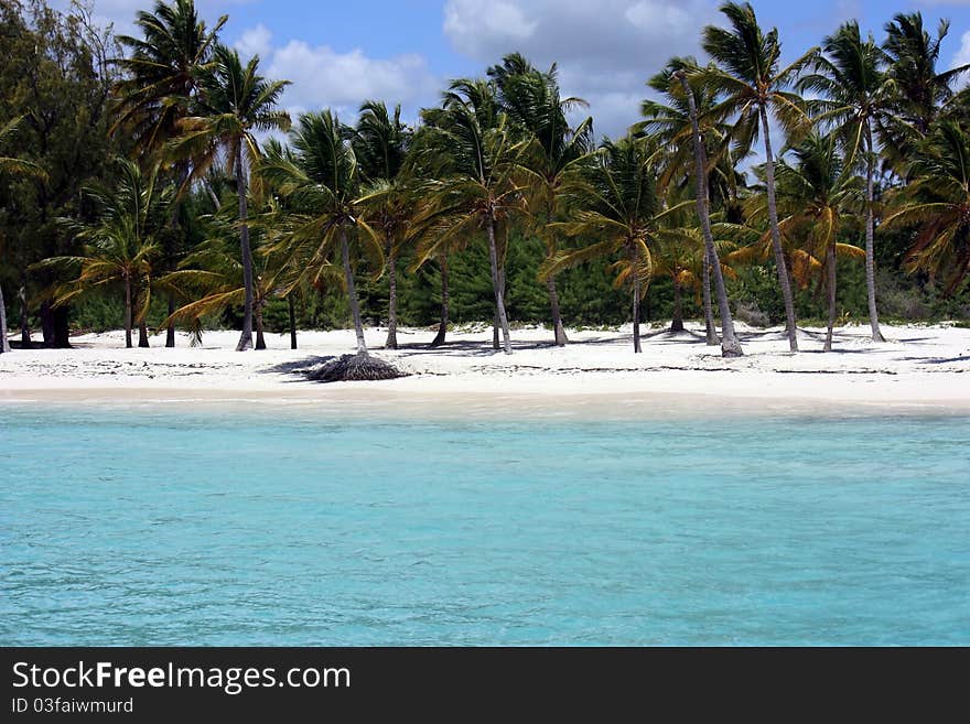 Ocean and beach panorama