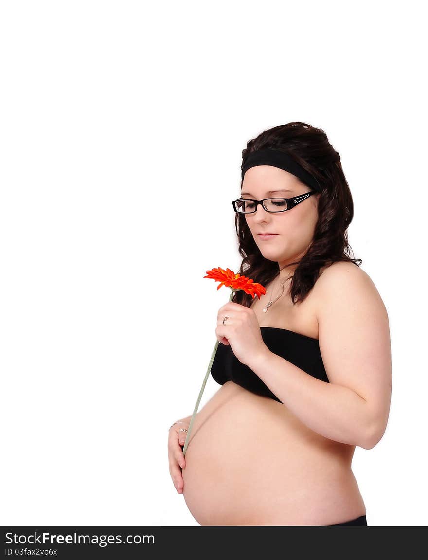 Beautiful pregnant woman with bare belly admiring  the bright orange daisy in  her hand. isolated. Beautiful pregnant woman with bare belly admiring  the bright orange daisy in  her hand. isolated