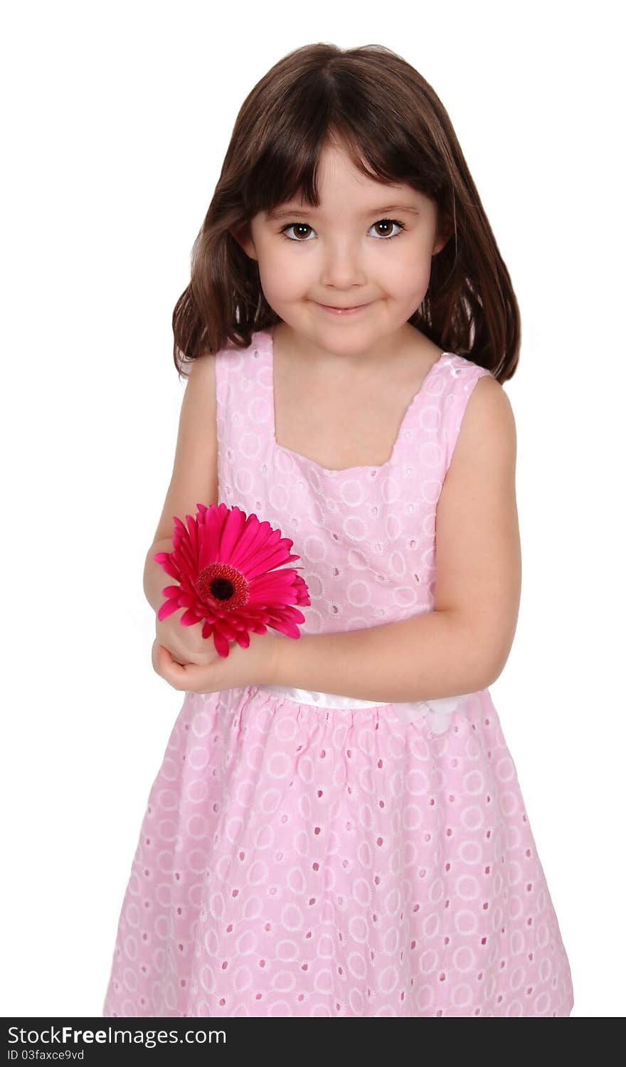 Sweet little girl in pink dress holding vibrant pink daisy and smiling. isolated. Sweet little girl in pink dress holding vibrant pink daisy and smiling. isolated