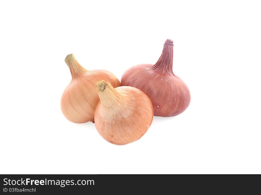 Onion on a white background.