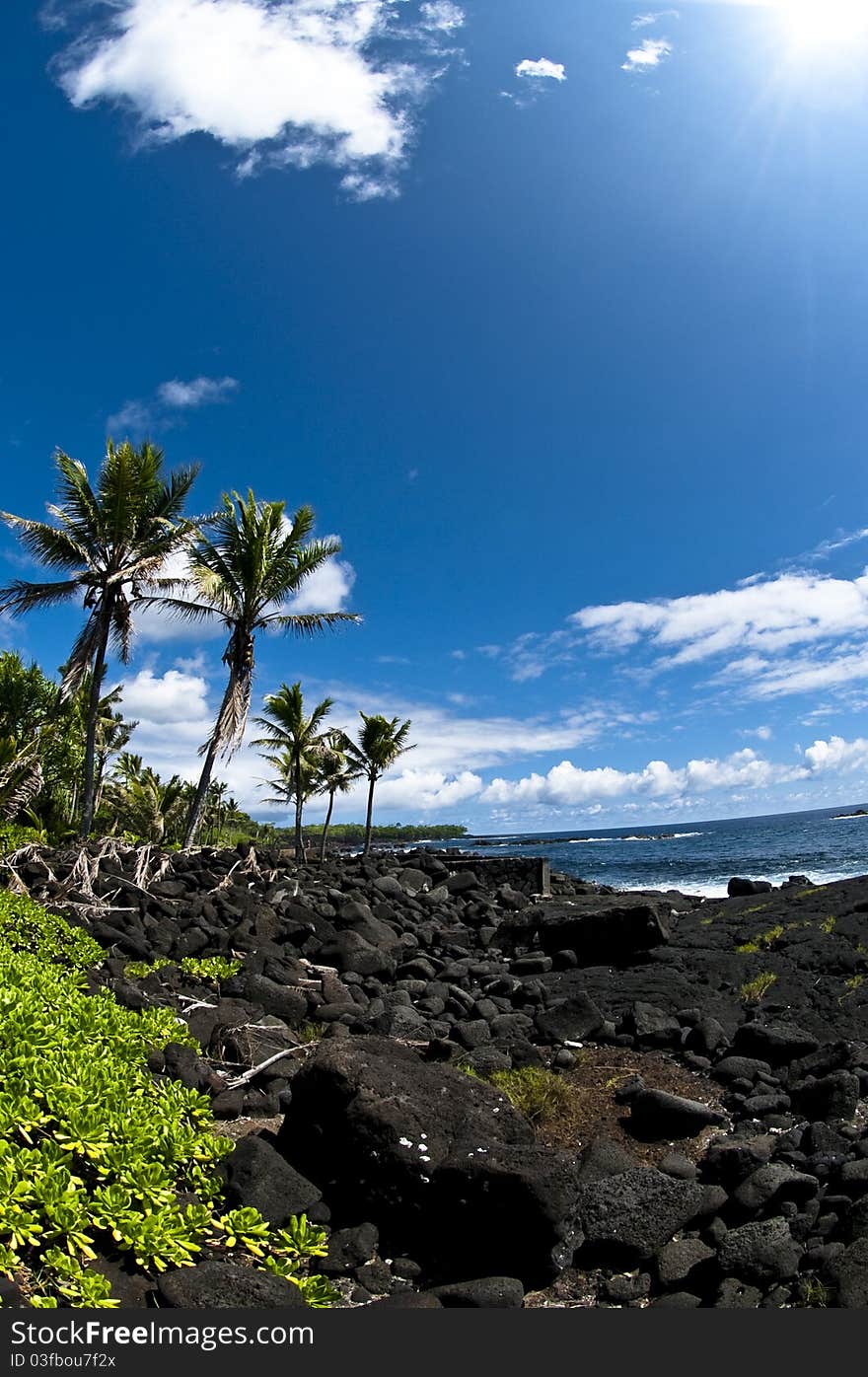 Tropical Beach with Ocean Views