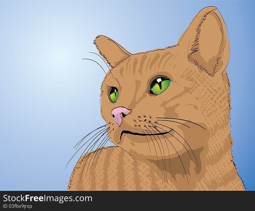 Brown cat head on blue background - illustration