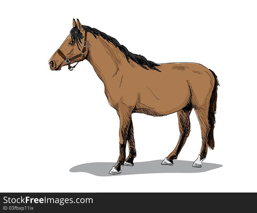 Isolated brown standing horse - illustration